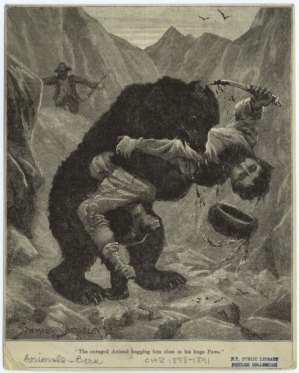 Bear attacking man