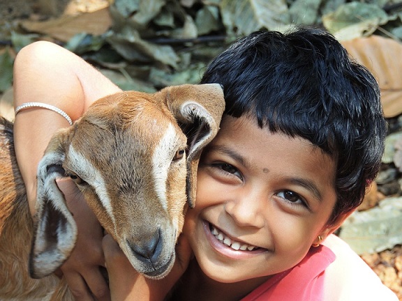Child hugs goat